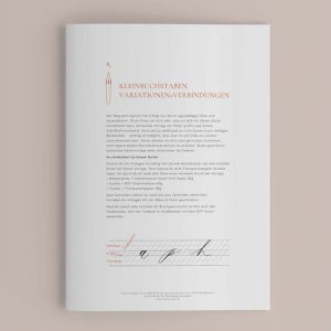 Kleinbuchstaben Variationen + Verbindungen